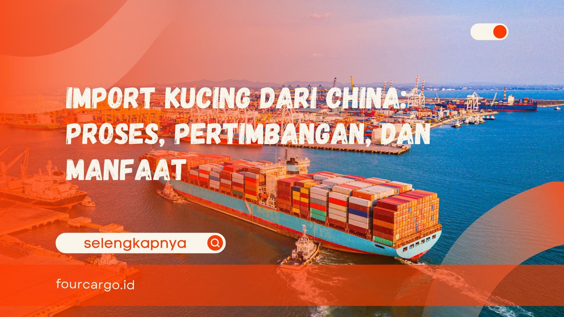 Import Kucing dari China: Proses, Pertimbangan, dan Manfaat
